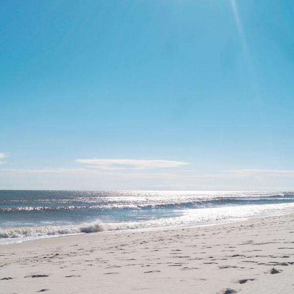 Shell Beach Orange Bech