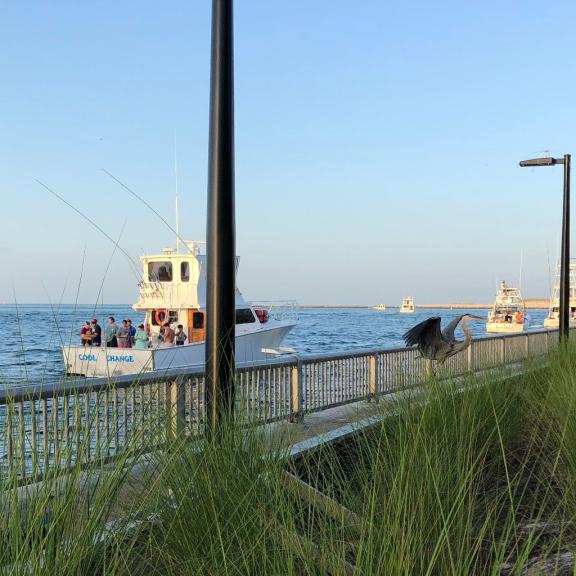 Fishing at the Pass Orange Beach