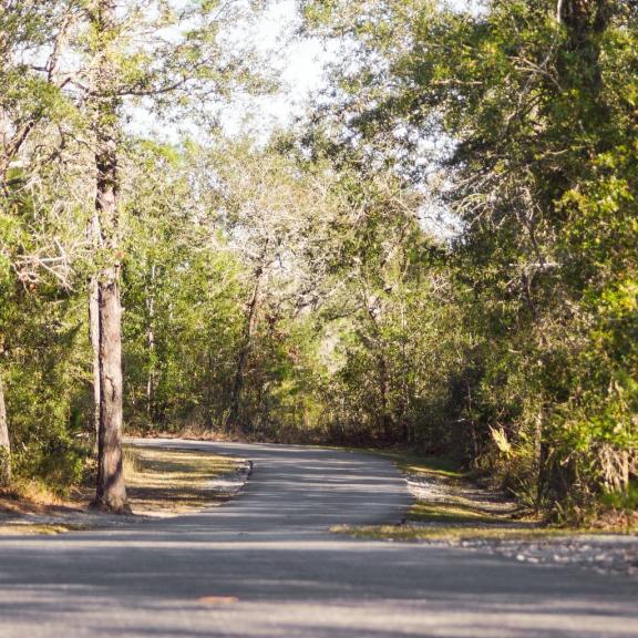 Gulf State Park Trail
