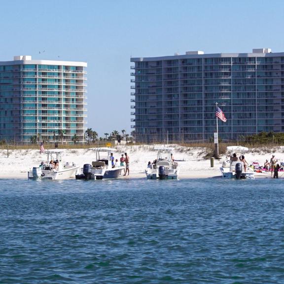 Bird Island Orange Beach