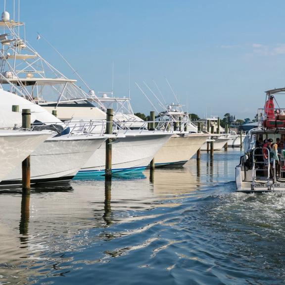 Down Under Dive Shop Gulf Shores