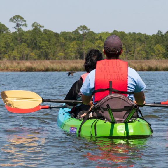 WildNative Dolphin Tour
