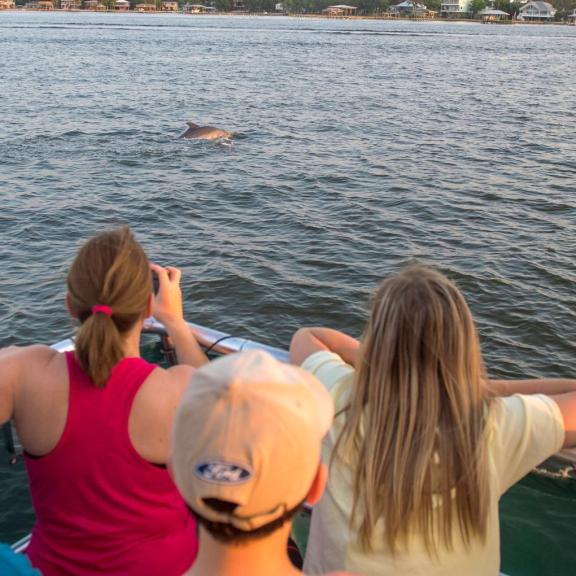 Dolphin Cruise Orange Beach