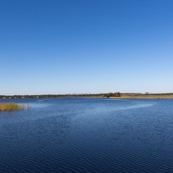 Lake Shelby Gulf State Park