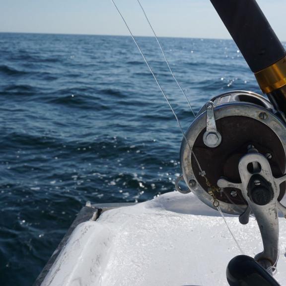 Deep-sea Fishing Orange Beach