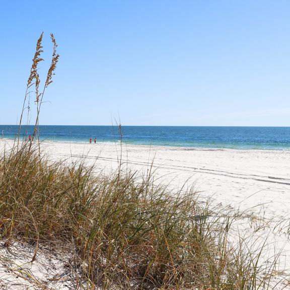 Beach View with A&R Group Logo