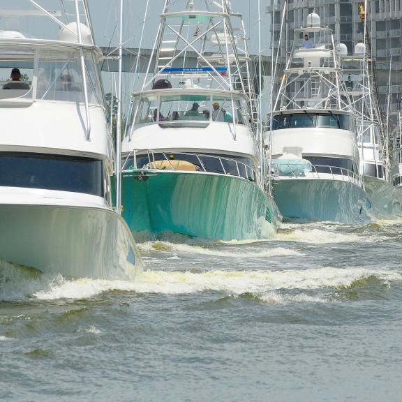 Blue Marlin Grand Championship Orange Beach
