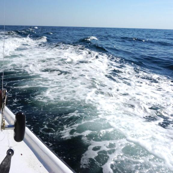 Charter Fishing Orange Beach