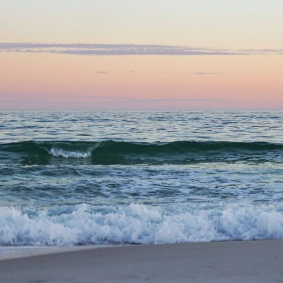 Beach Waves