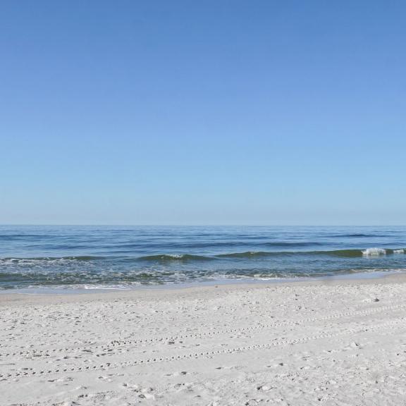 Gulf Shores white sand beaches