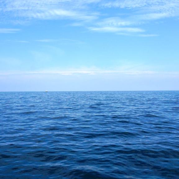 Off-Shore Fishing Charter