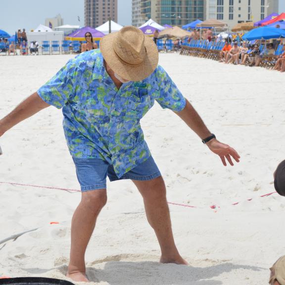 Mullet Toss