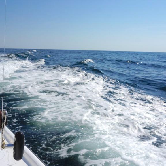 Rods on a fishing charter boat in the Gulf of Mexico
