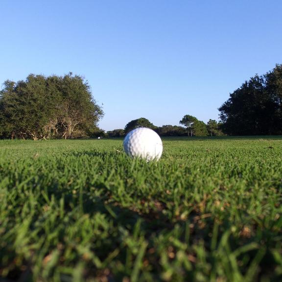 Golf ball on a green course on Alabama's Gulf Coast
