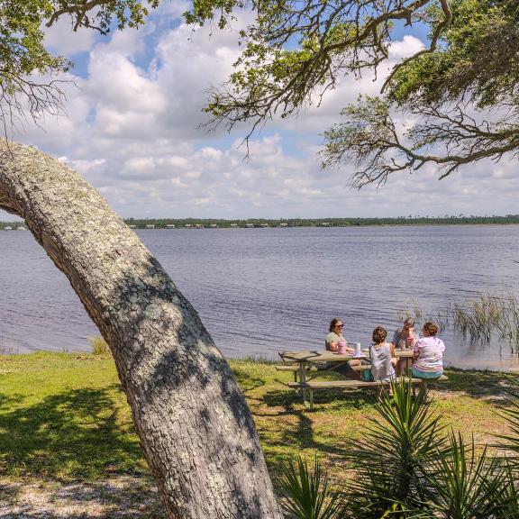 Group of people sitting at a picnic table under a tree at Lake Shelby in Gulf State Park