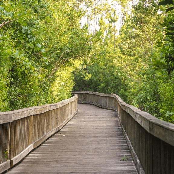 Scenic view of a boardwalk along the Hugh S. Branyon Backcountry Trail 