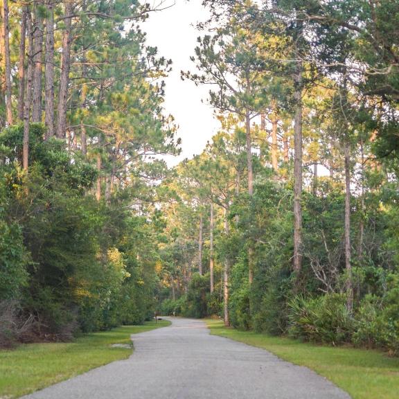 gulf state park trail