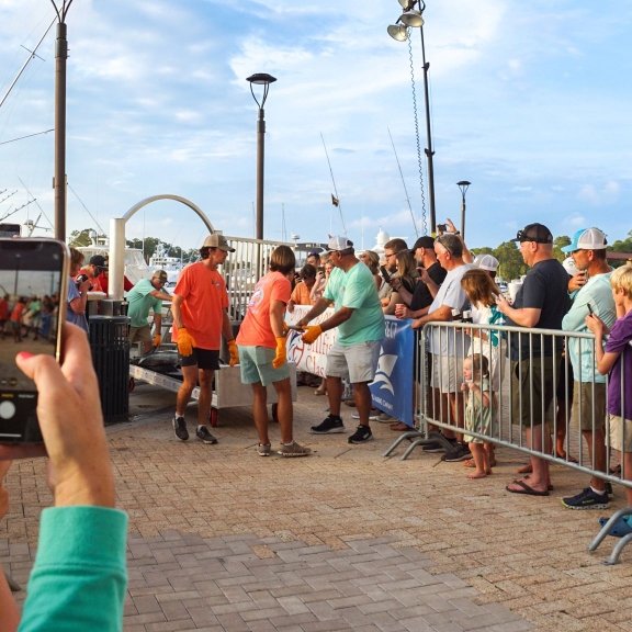 Crowd watching fish arriving at the Billfish Classic Fishing Tournament