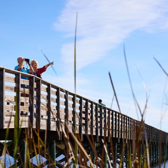 Snowbird visitors looking for birds at Lake Shelby in Gulf State Park