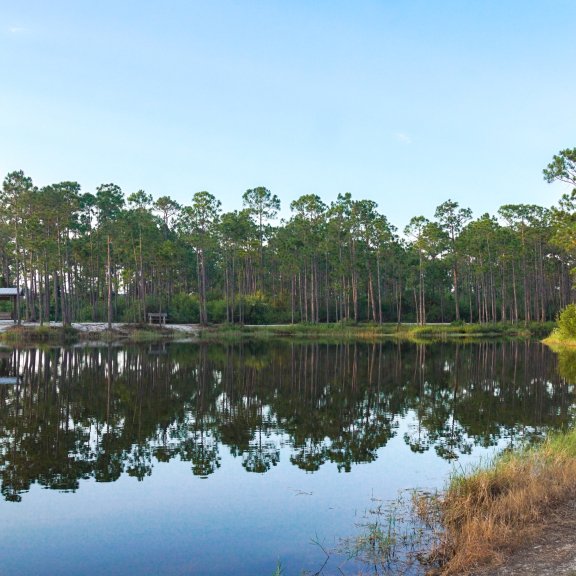 Scenic hidden lake in Gulf State Park 
