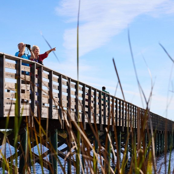 Snowbird couple birding along a raised boardwalk trail at Lake Shelby in Gulf State Park