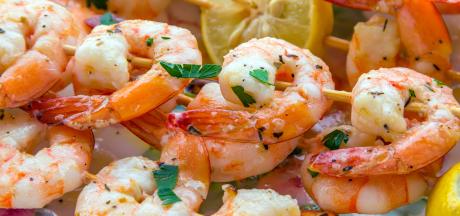 shrimp-recipe