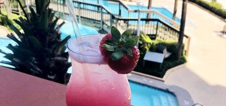 Strawberry Gin Fizz Voyagers Orange Beach