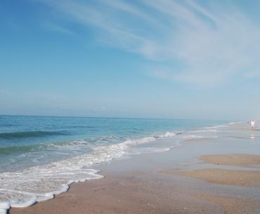 Gulf Shores Beaches AL