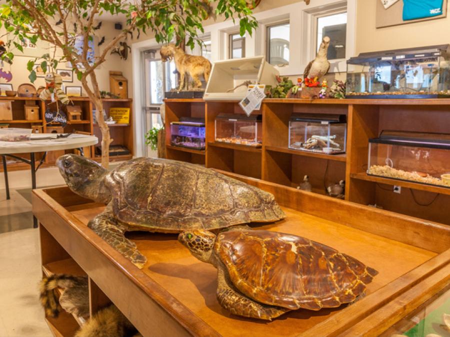 Gulf State Park Learning Center