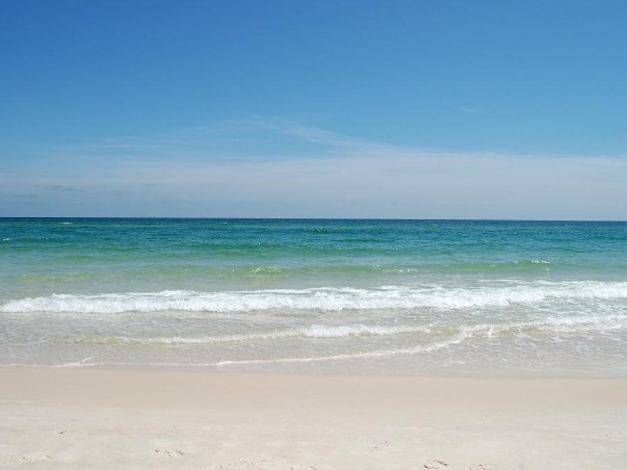 Industry Partner Gulf Shores