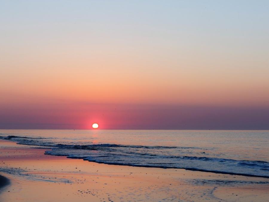 Why Our Beach