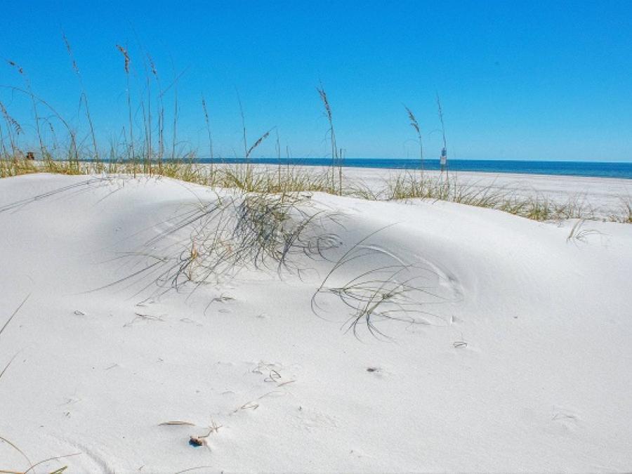 Gulf Shores In the News