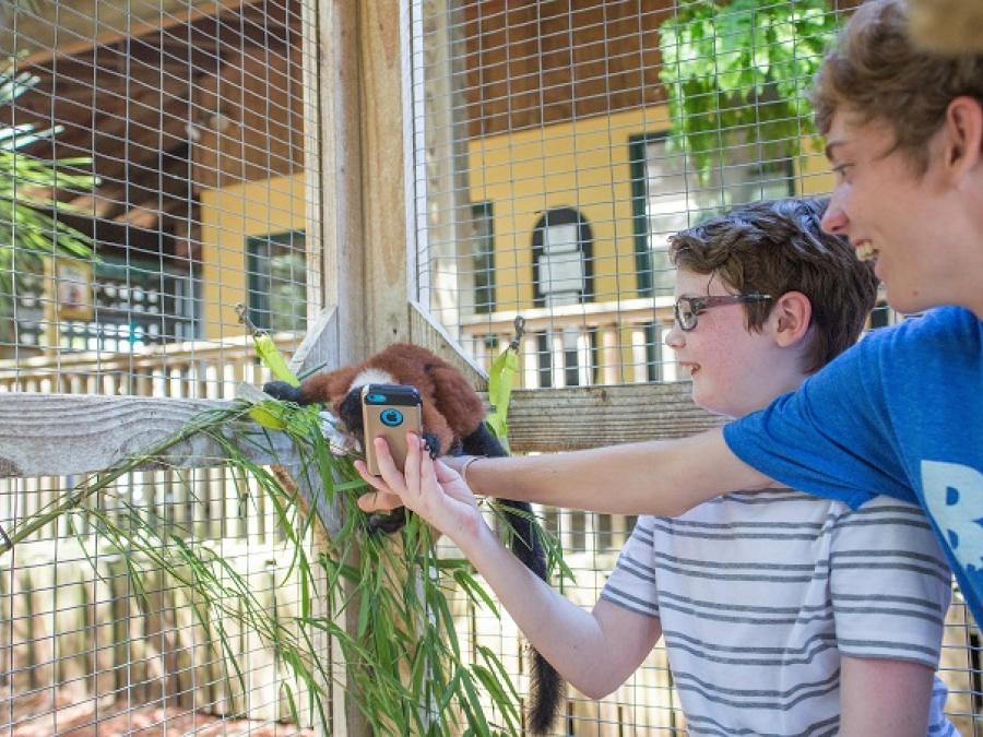Attractions & Things To Do