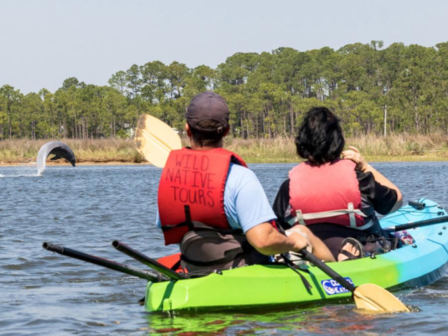 WildNative Tours