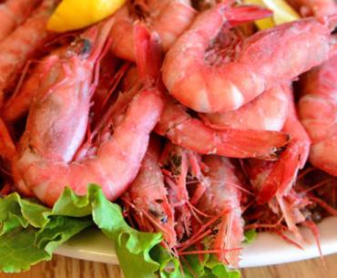 King Neptune's Shrimp