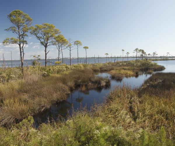 Fort Morgan Blueway