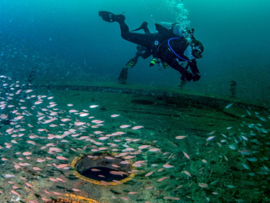 Diver at the Capt. Shirley Brown