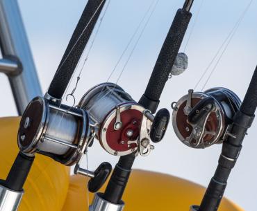 Offshore fishing along Alabama's beaches