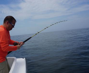 Fishing Seasons Gulf Shores & Orange Beach