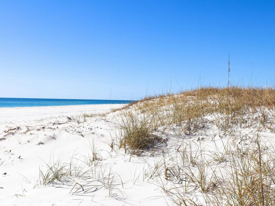 Sand dunes protecting Alabama's beaches