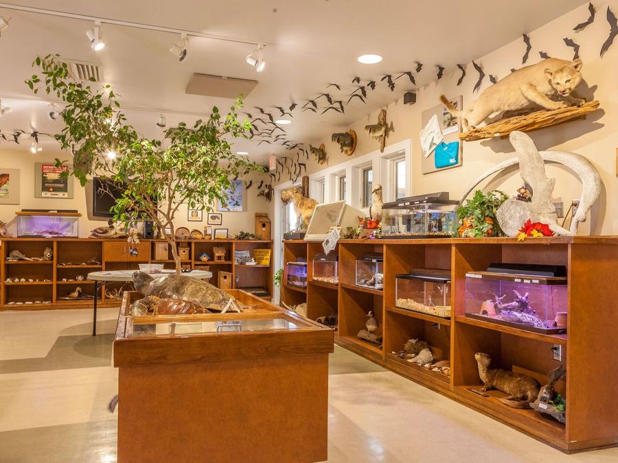 Gulf State Park Nature Center