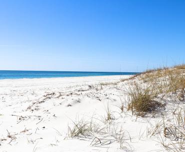 Gulf Shores and Orange Beach Alabama