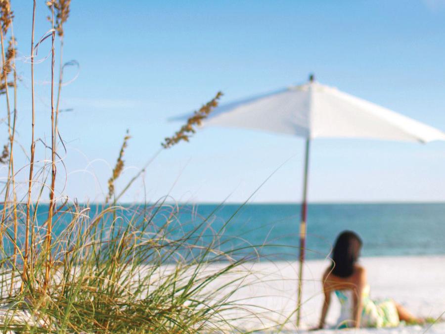 Plan Your Vacation