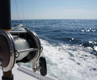 Fishing reel on a charter fishing trip