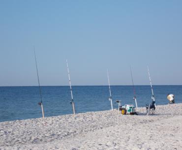 Surf Fishing Gulf Shores