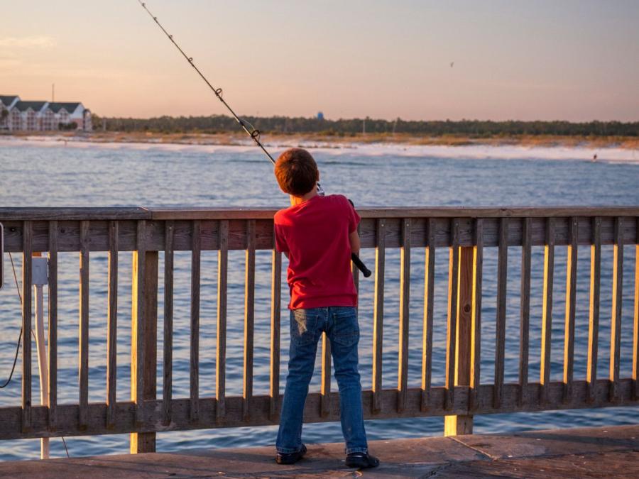 Alabama Fishing Seasons in Gulf Shores Orange Beach