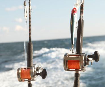 Offshore Fishing Alabama Gulf Coast