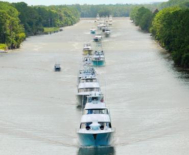 Blue Marlin Grand Championship