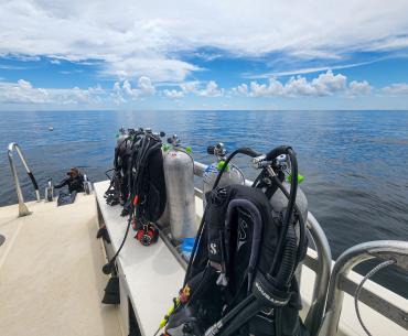 Diving in Gulf Shores