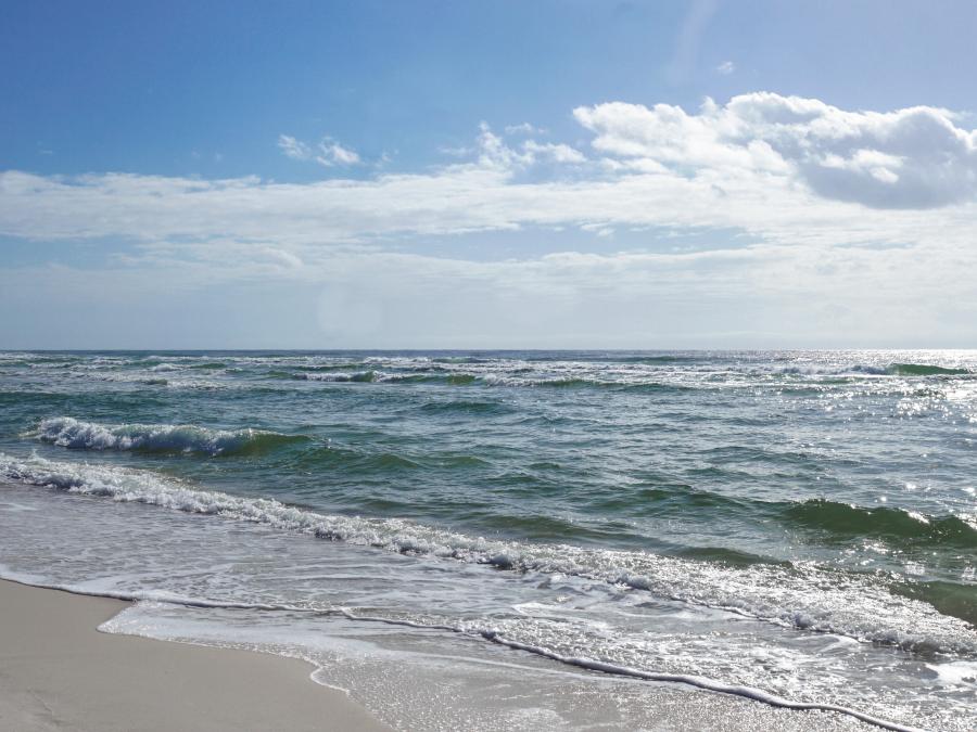 Shell Beach Gulf Shores, Alabama